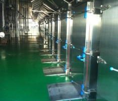 �����f�S�@